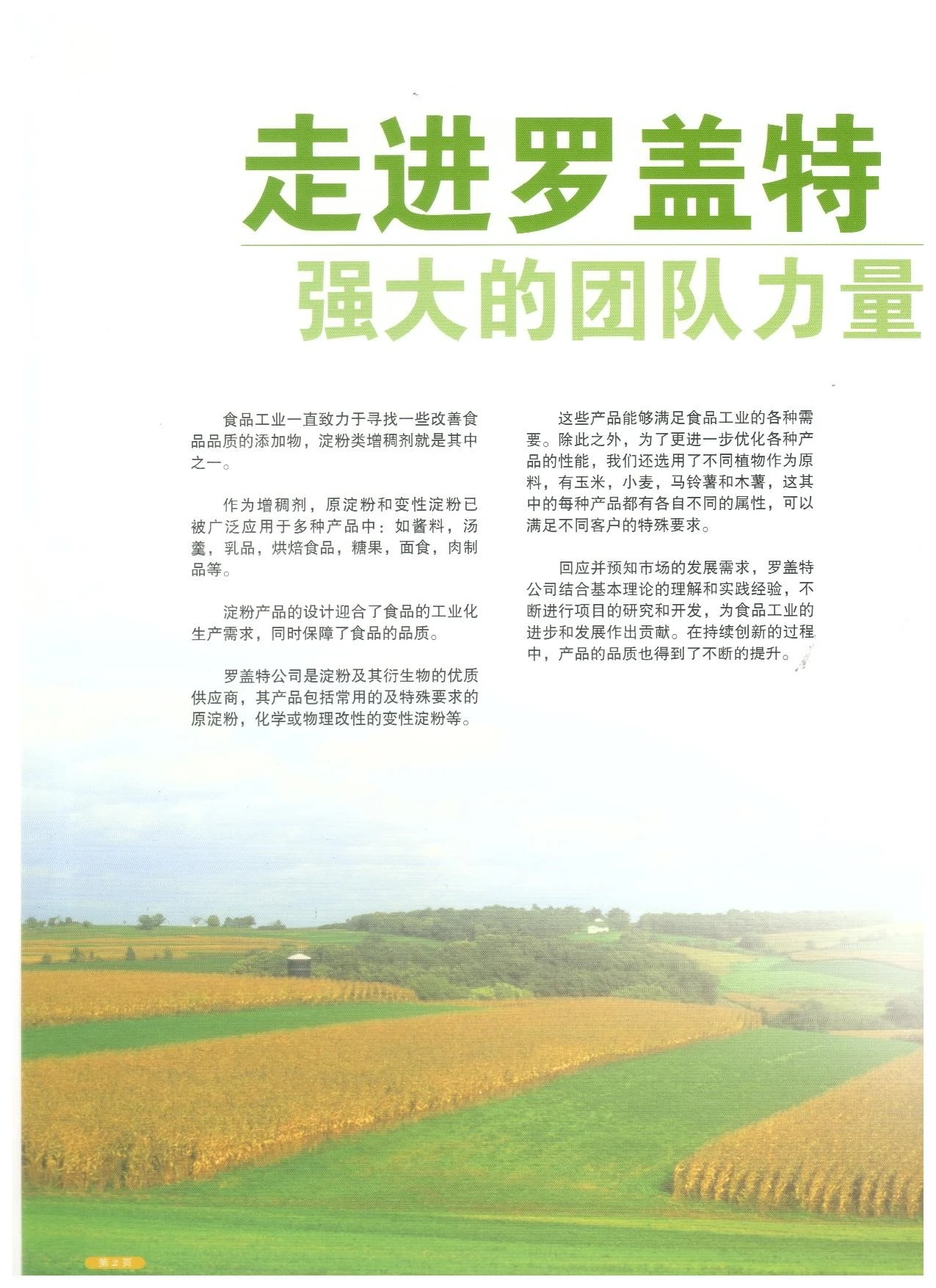 淀粉图片 002.jpg